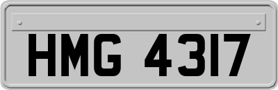 HMG4317