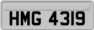 HMG4319