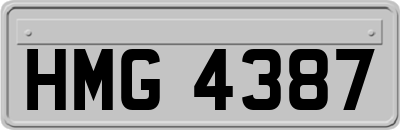 HMG4387