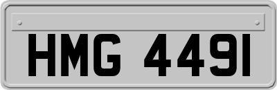 HMG4491
