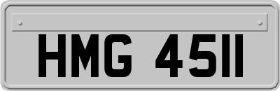 HMG4511