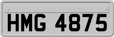 HMG4875