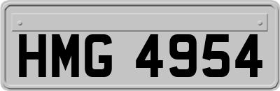 HMG4954