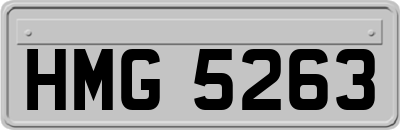 HMG5263