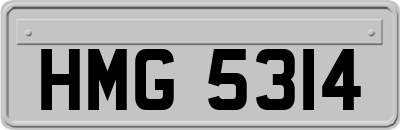HMG5314