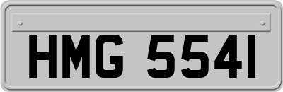 HMG5541