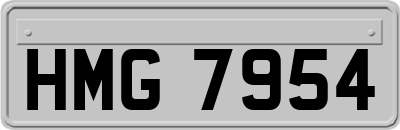 HMG7954