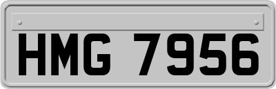 HMG7956