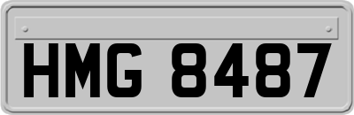 HMG8487