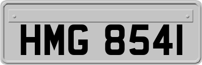 HMG8541