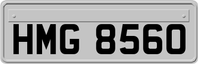 HMG8560