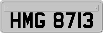 HMG8713