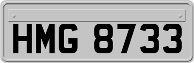 HMG8733