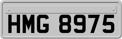HMG8975