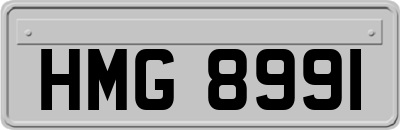 HMG8991