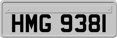 HMG9381