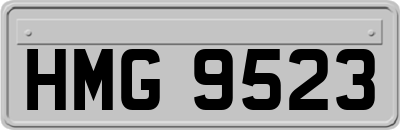 HMG9523