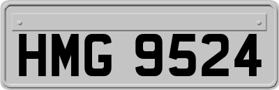 HMG9524