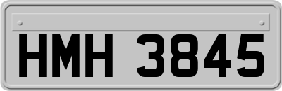 HMH3845