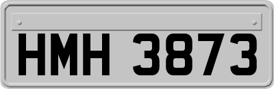 HMH3873