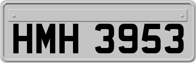HMH3953