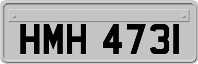 HMH4731