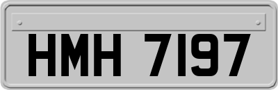 HMH7197
