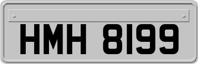 HMH8199