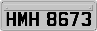HMH8673