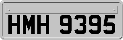 HMH9395