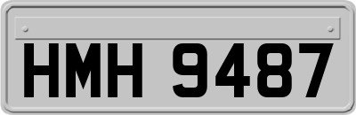 HMH9487