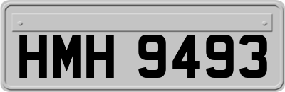 HMH9493