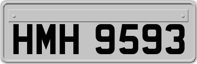 HMH9593