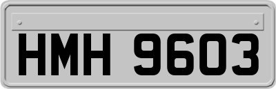 HMH9603