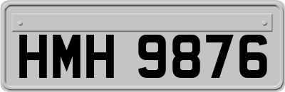 HMH9876