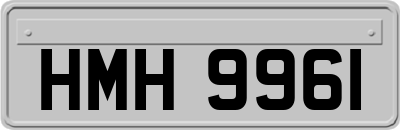 HMH9961