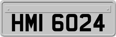 HMI6024