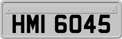 HMI6045