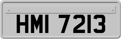 HMI7213