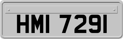 HMI7291