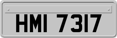 HMI7317