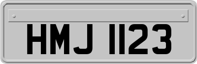 HMJ1123