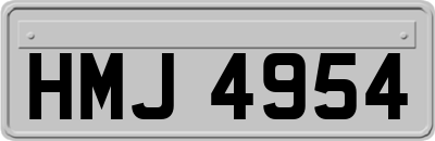HMJ4954