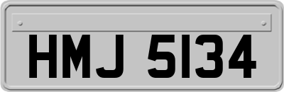 HMJ5134