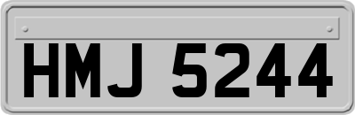 HMJ5244