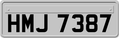 HMJ7387