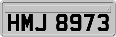HMJ8973