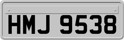 HMJ9538