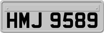 HMJ9589