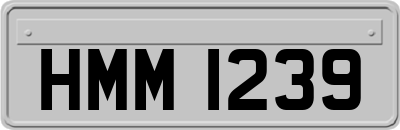 HMM1239